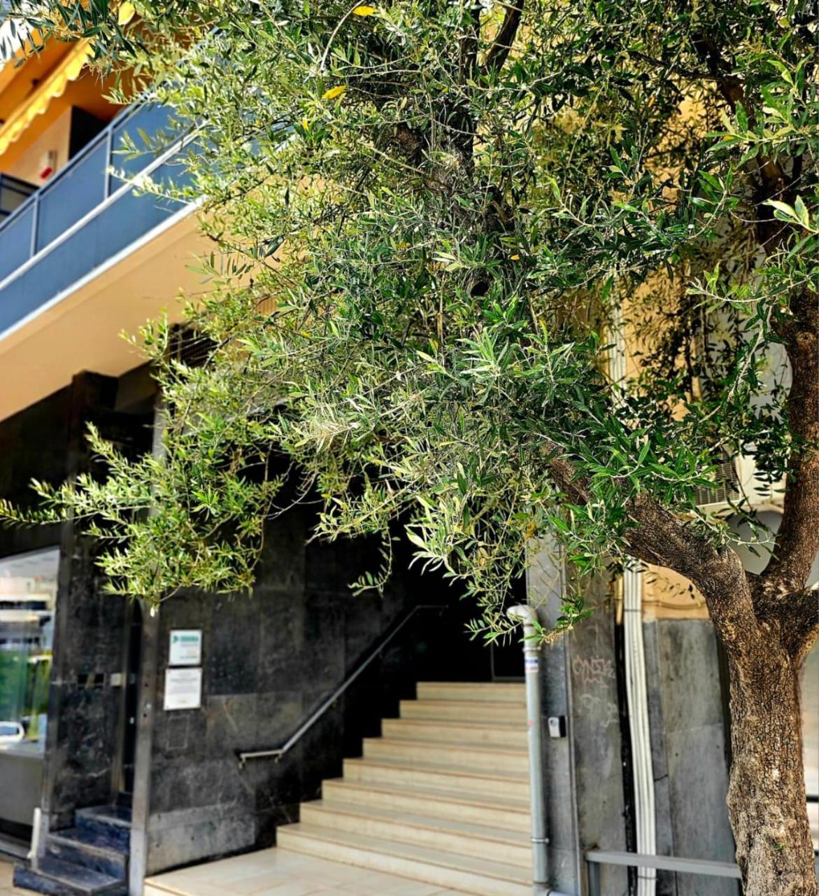 Diocharous Garden Apartment Atenas Exterior foto